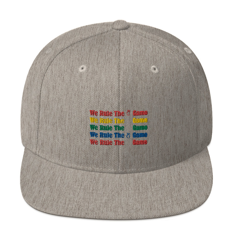 Snapback Hat colors logo