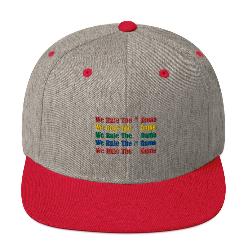 Snapback Hat colors logo